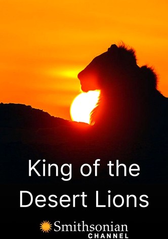 King of the Desert Lions