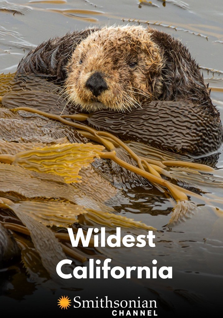 Wildest California
