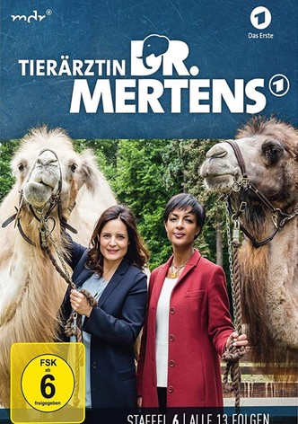 Staffel 6
