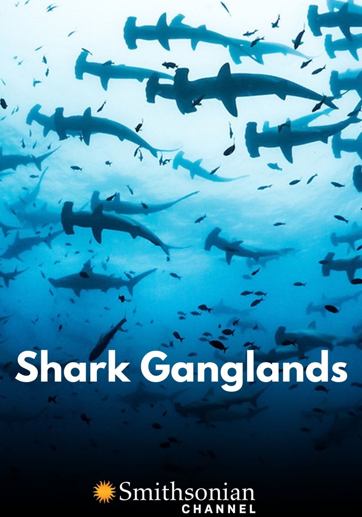 Shark Ganglands