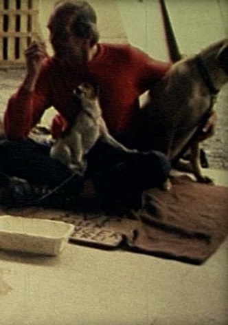 Comme un chien