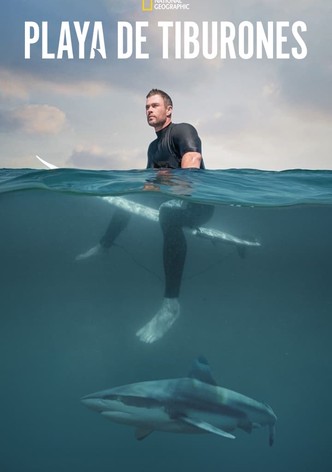 Playa de tiburones