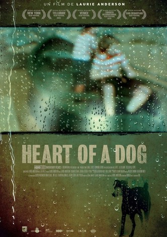 Heart of a Dog