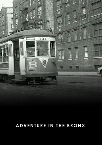 Adventure in the Bronx