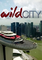 Wild City - Temporada 1