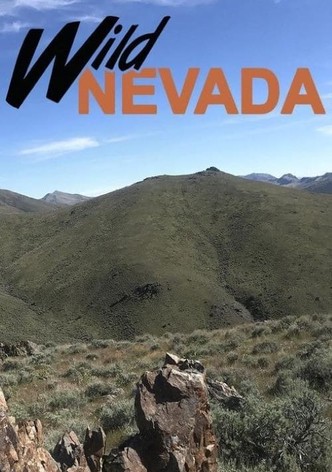 Wild Nevada