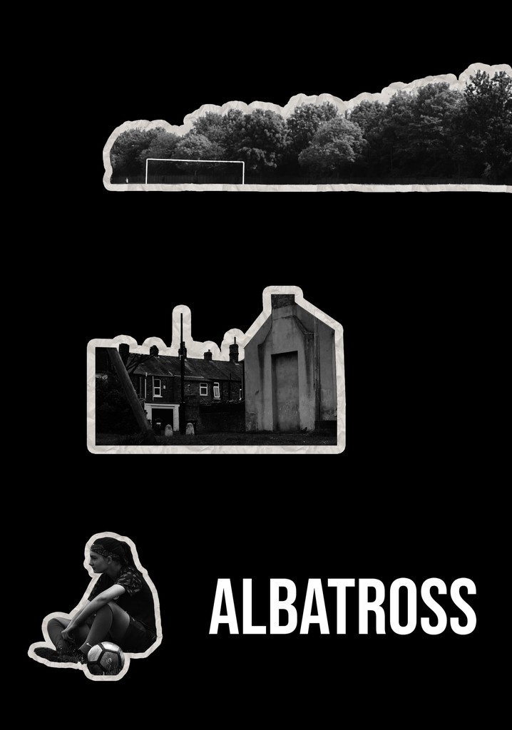 Albatross