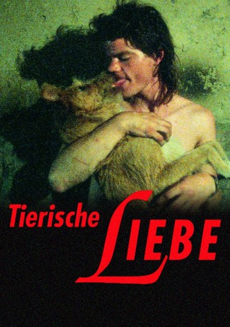 Tierische Liebe