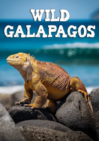 Wild Galápagos