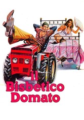 Il bisbetico domato