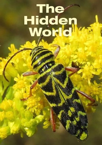 The Hidden World