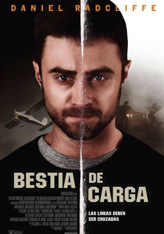 Bestia de carga