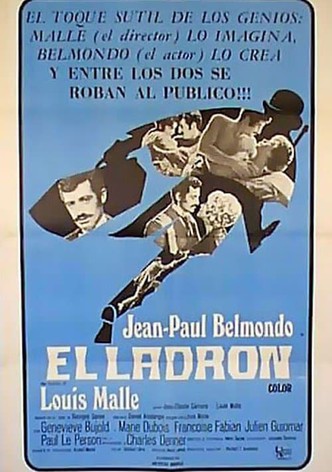 El ladrón de París