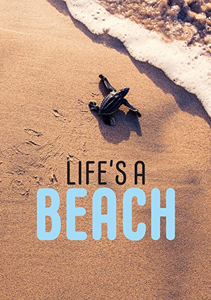 Regarder Lifes A Beach En Streaming Complet Et Légal