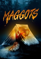 Maggots