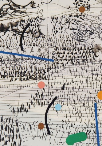 Promises: Through Congress