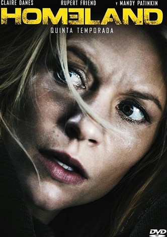 Homeland Ver la serie online completas en espa ol