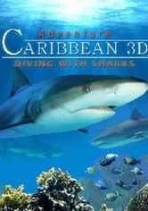 Adventure Caribbean 3D: Diving With Sharks