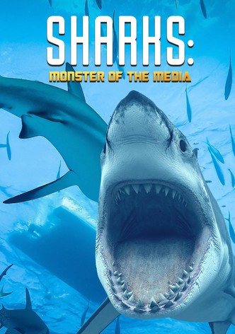 Haie: Monster Der Medien