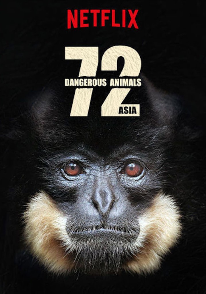72 Dangerous Animals: Asia - streaming online
