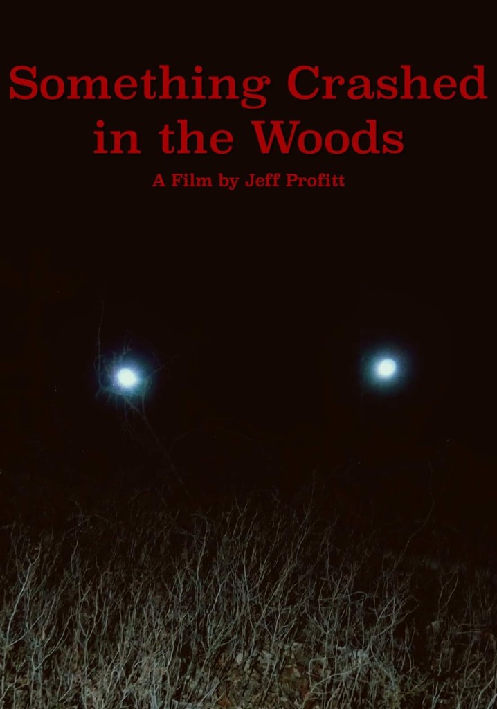 Something Crashed in the Woods