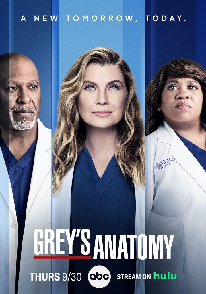 Grey's Anatomy (TV Show)