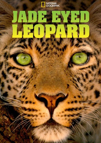Jade Eyed Leopard