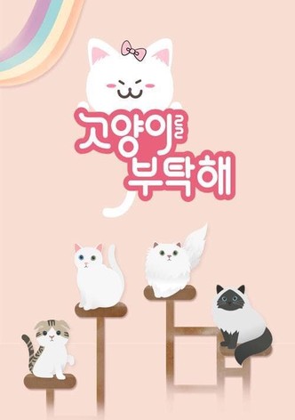 고양이를 부탁해