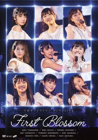 Tsubaki Factory One-Man LIVE ~First Blossom~