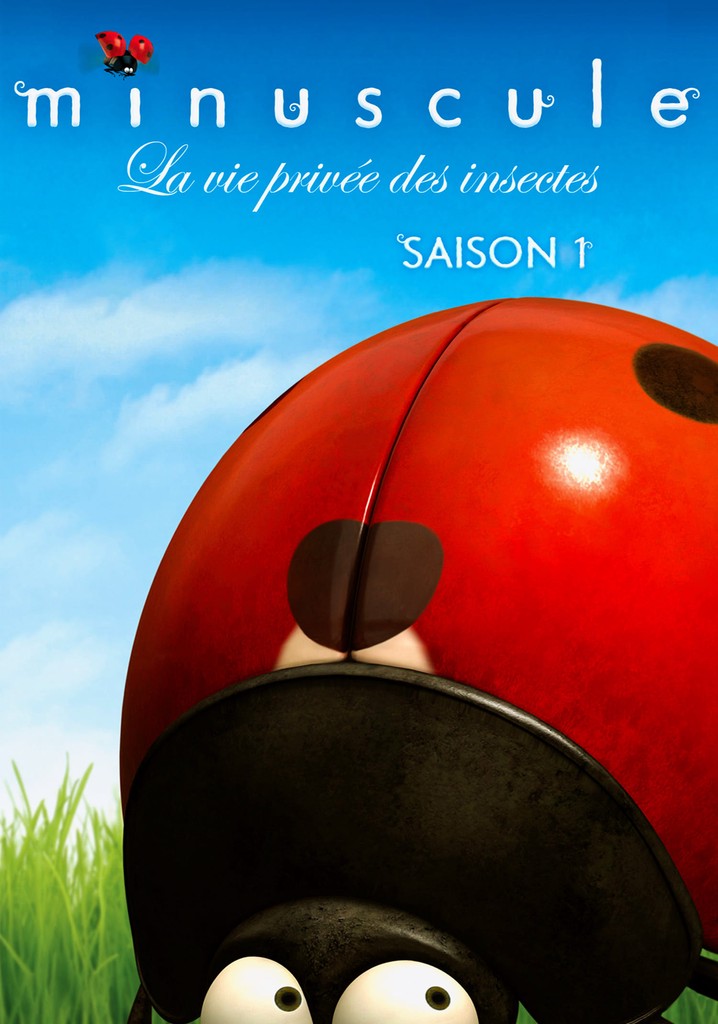 Saison 1 Minuscule : La vie privée des insectes streaming: où regarder ...