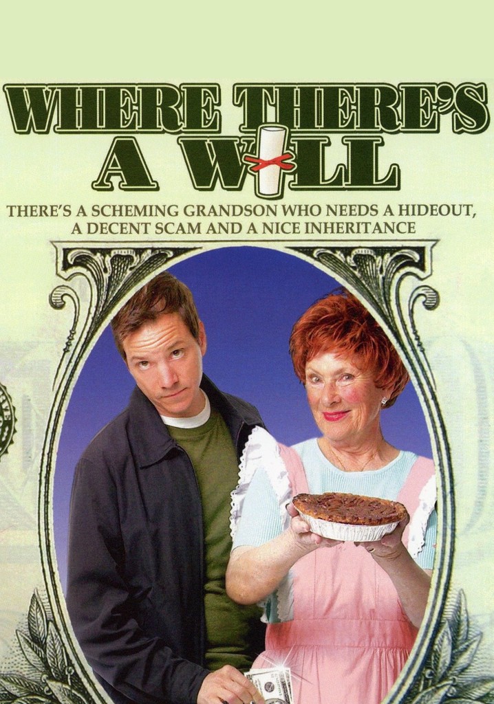 Where There's a Will streaming: where to watch online?