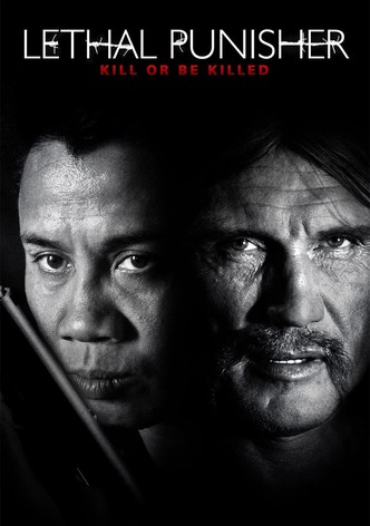 Lethal Punisher: Kill or be killed