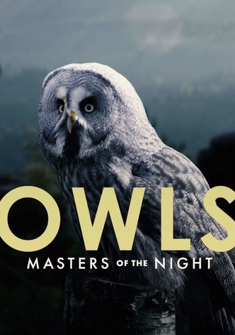 Owls: Masters of the Night