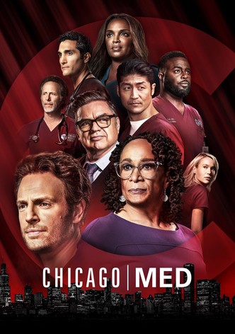 Chicago P.D. - Ver la serie online completas en español