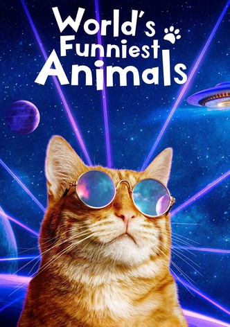 World's Funniest Animals