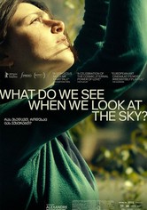 What Do We See When We Look at the Sky?