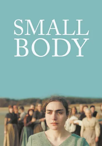 Small Body poster