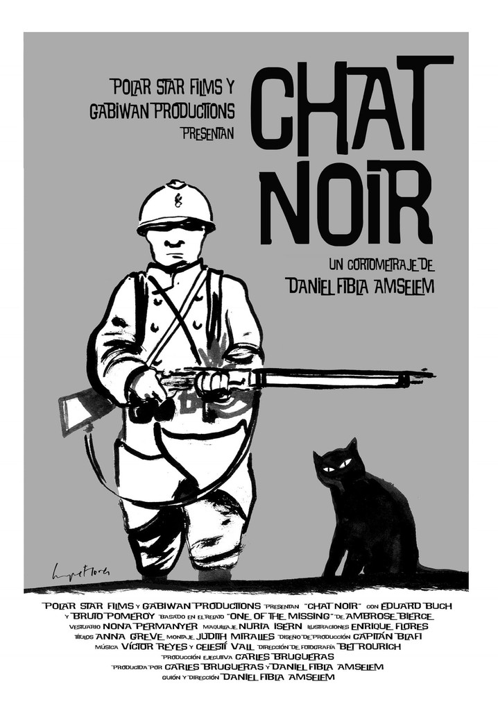 Chat noir