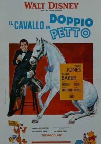 Il cavallo in doppiopetto