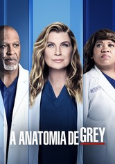 Anatomia de Grey