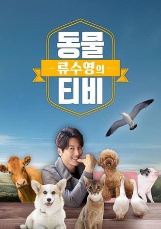류수영의 동물티비