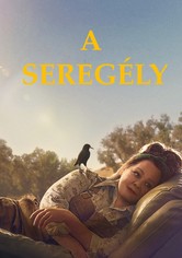 A seregély