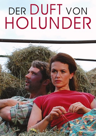 Der Duft von Holunder