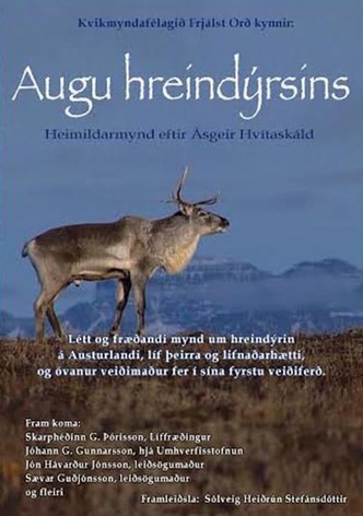 The Eyes of The Reindeer