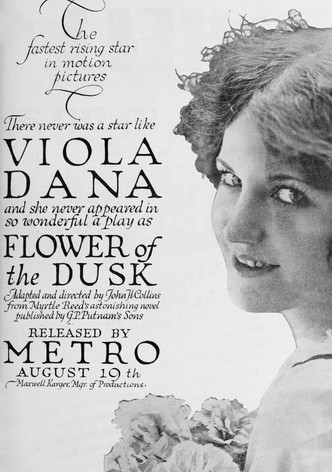 Flower of the Dusk