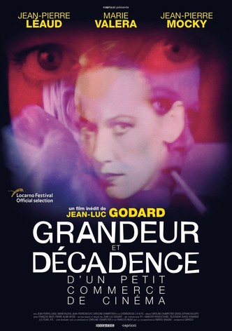 Grandeur et décadence d'un petit commerce de cinéma