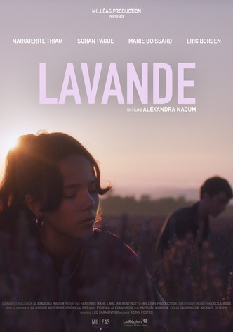 Lavande