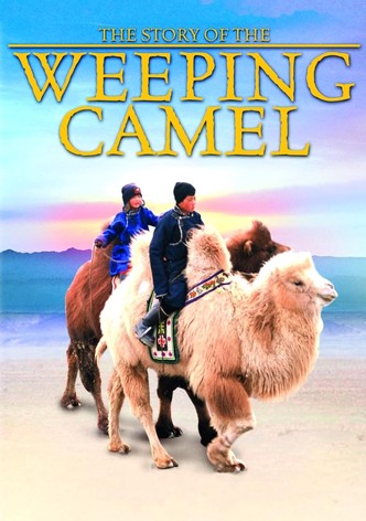 The Story of the Weeping Camel