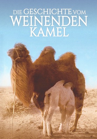 The Story of the Weeping Camel