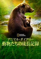 アニマル・ダイアリー 動物たちの成長記録